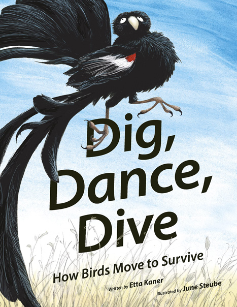 Dig, Dance Dive: How Birds Move to Survive